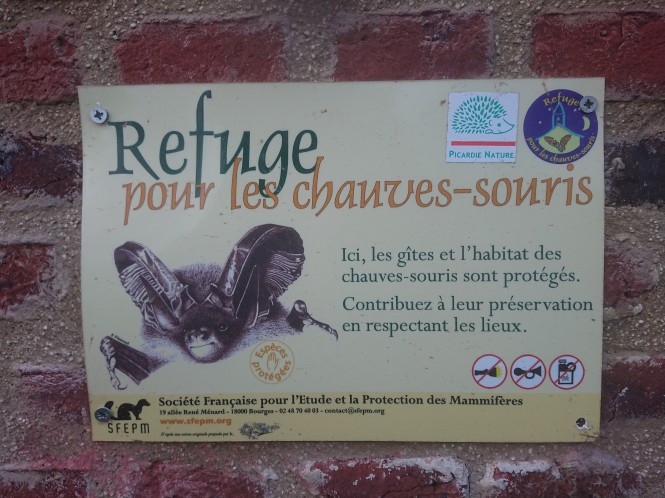 Chauves-souris panneau refuge