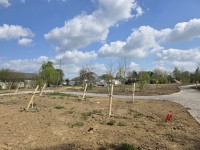 Parc vue vers Barbusse